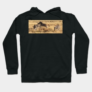 Zebra playing. Hoodie